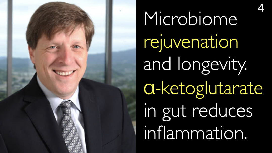 Rejuvenescimento do microbioma e longevidade. O alfa-cetoglutarato no intestino atenua a inflamação.