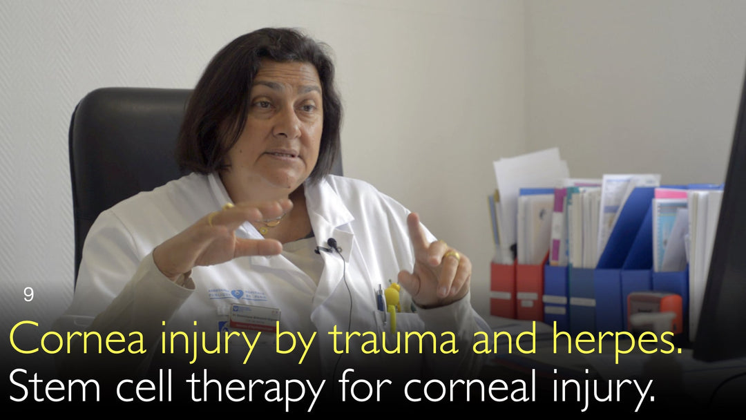 Cornea injury by trauma and herpes. Stem cell therapy for corneal injury. 9